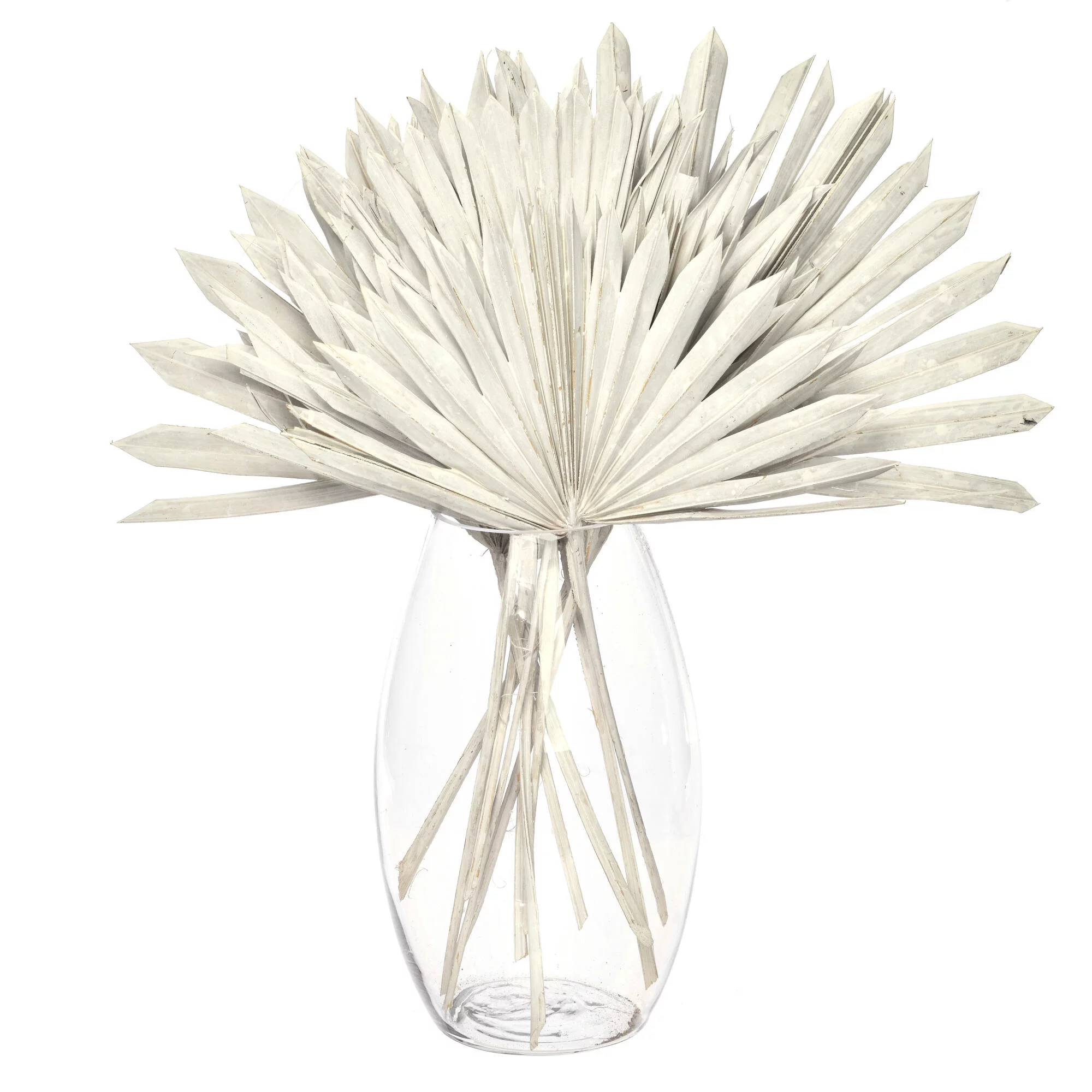 PALM SUN SPEAR-WHITE COLOUR